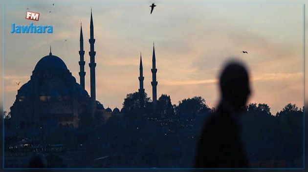 Turquie : Des dizaines de membres présumés de l'Etat islamique arrêtés