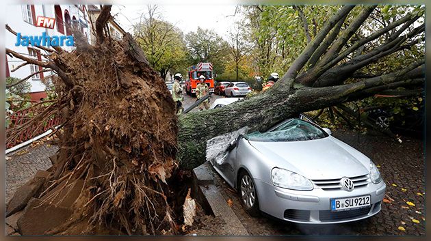 L'Europe centrale victime de la tempête Herwart : Au moins 7 morts