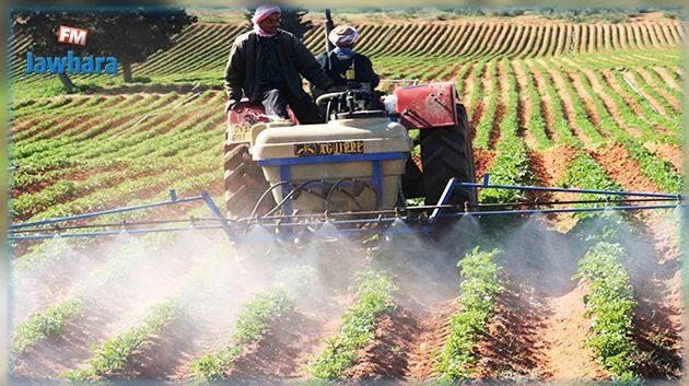 Jendouba : Des députés réclament une réunion ministérielle urgente au profit des agriculteurs