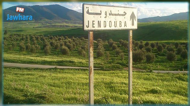 Jendouba : Les agriculteurs suspendent leur sit-in après les mesures annoncées en leur faveur
