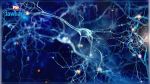 Deux intelligences artificielles viennent de battre des humains au test de lecture de Stanford