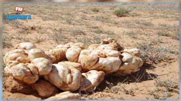 Fermeture du Parc national de Sidi Toui de Ben Guerdane