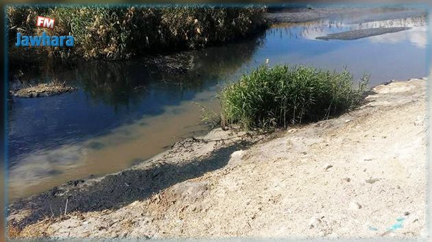 Sfax : Infiltration de substances inconnues sur la côte sud