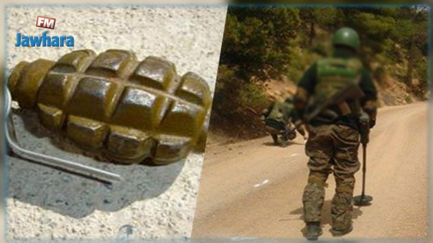 Le ministère de la Défense révèle les détails de l'opération militaire de Borj Khadhra