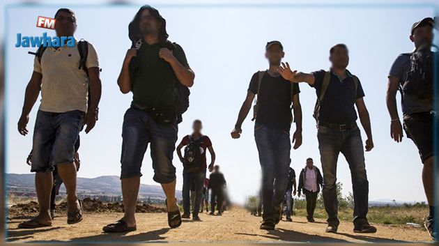 Seize clandestins syriens interpellés à proximité du tracé frontalier tuniso-algérien 