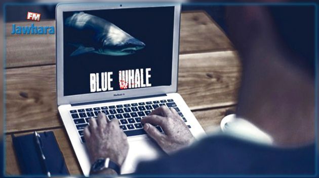Blue Whale : Un enfant sauvé in extremis du suicide