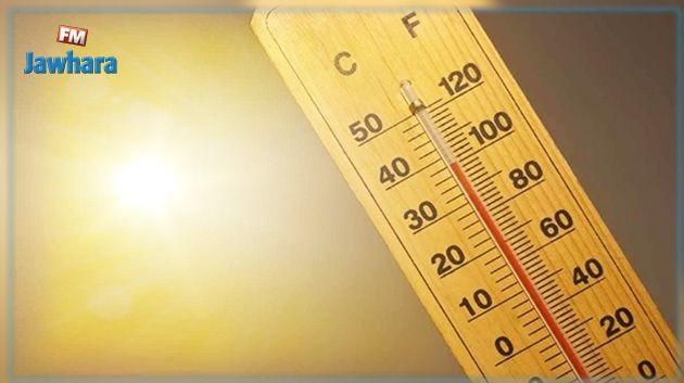 Pic de chaleur : Les températures atteindront 50°C dans ces régions