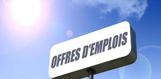  Emploi : Le changement climatique menace 36 000 postes en Tunisie