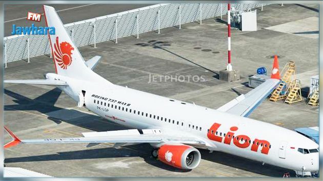 Un avion de ligne s'écrase avec 188 personnes à bord en Indonésie : Aucun survivant