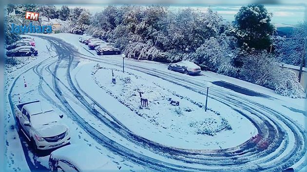 Chutes de neige : La route nationale n°17 reliant Tabarka et Jendouba coupée à la circulation