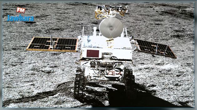 Les Chinois ont fait germer des graines de coton à la surface de la Lune