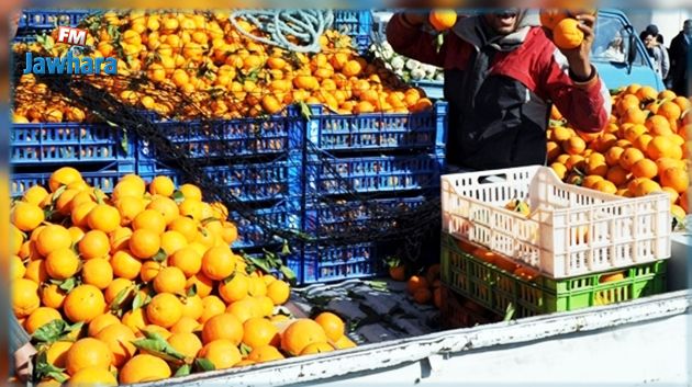 Manzel Bouzelfa accueille un marché national d'agrumes