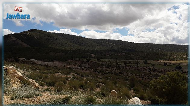 Kasserine : Arrestation d'un individu ayant sollicité un enfant pour collaborer avec les terroristes de Mont Mghilla
