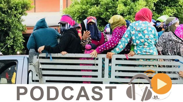   Journal Info 07h00 du dimanche 28 Avril 2019
