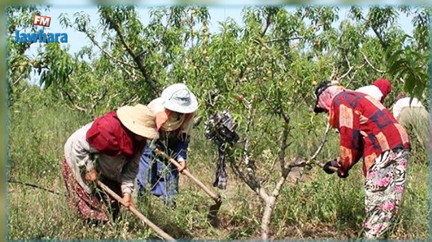 Médenine : Plusieurs ouvrières agricoles blessées dans un accident de la route