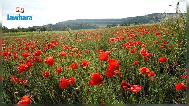 La météo de ce mercredi 22 mai 2019