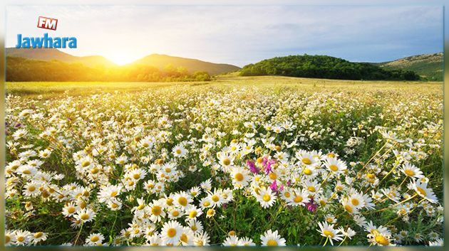 La météo de ce jeudi 23 mai 2019