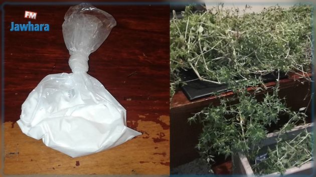 Jendouba : Saisie de 40 plantes de