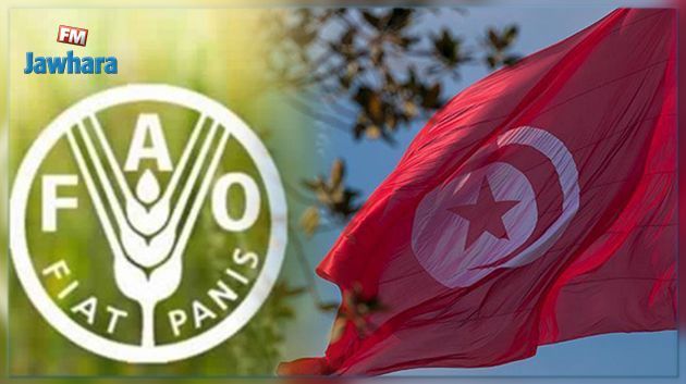 La Tunisie présente sa candidature pour un siège au conseil de la FAO