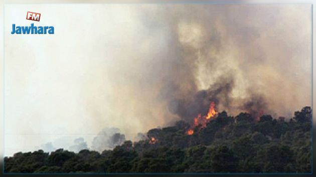 Kasserine : L'incendie du Jebel Abdeladhim maîtrisé