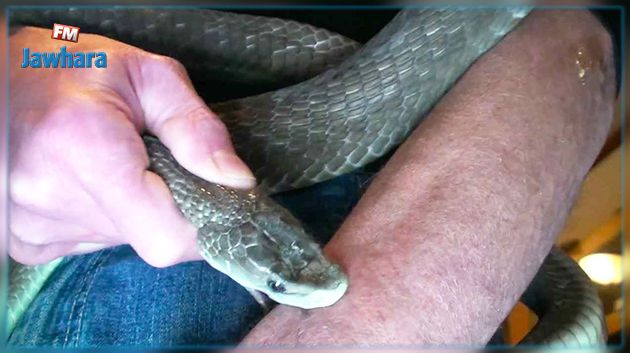 Kairouan : Décès d'une fillette de 2 ans, mordue par un serpent