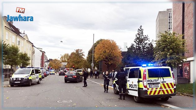 Oslo : Un homme armé vole une ambulance et renverse plusieurs personnes