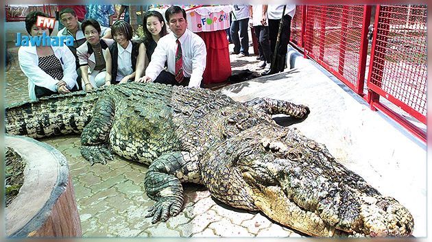 Une fillette de 11 ans combat un crocodile à mains nues et sauve la vie d'une de ses amies 