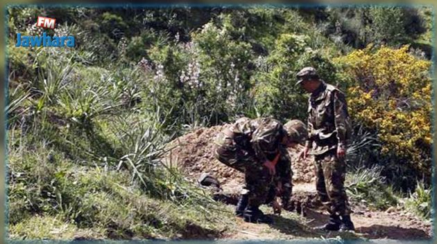 Algérie : Un terroriste abattu par l'armée à Tipasa