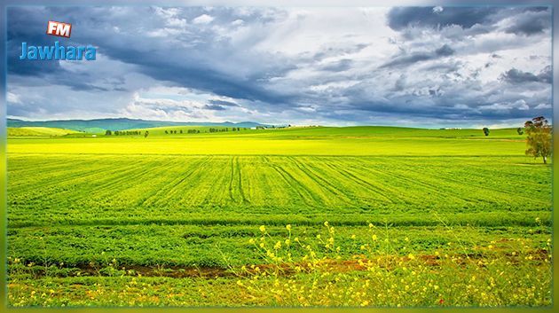 La météo de ce jeudi 7 novembre 2019