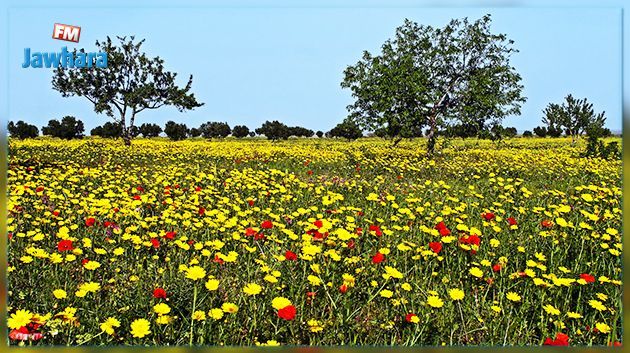 La météo de ce mercredi 1er avril 2020