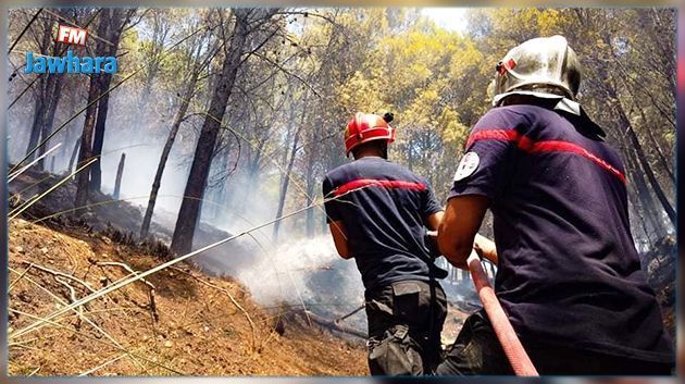 Les unités de la protection civile effectuent 115 interventions pour éteindre les incendies