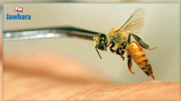 Un type de cancer du sein pourrait être traité grâce au venin des abeilles