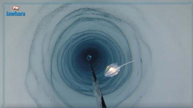 Découverte d'étranges créatures sous 900 mètres de glace en Antarctique