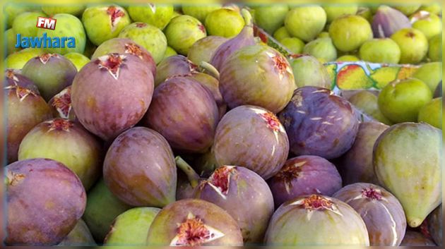 L’appellation d’origine contrôlée « Figue de Djebba » obtient la protection internationale
