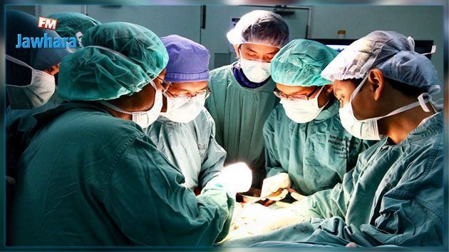 Un rein de porc transplanté avec succès pour la première fois sur l'homme: