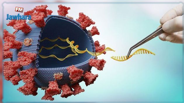 Coronavirus : L’OMS surveille un sous-variant du variant Delta