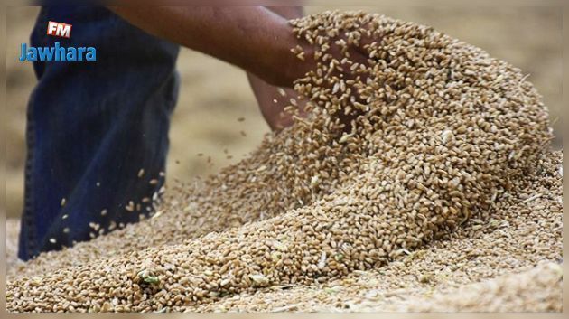 Le stock de céréales couvre les besoins du pays jusqu'à la seconde moitié de février