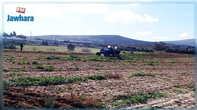 Récupération d'un lotissement agricole domanial de 46 hectares à la Manouba