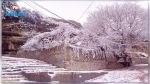 Des chutes de neiges dans les gouvernorats du Kef, Kasserine et Siliana
