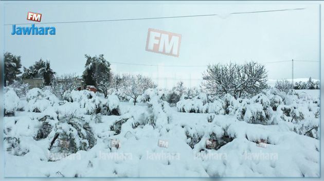 La météo de ce mardi 11 janvier 2022