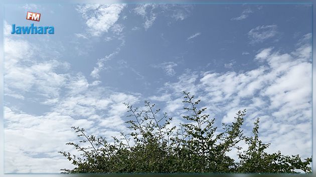 La météo de ce jeudi 3 février 2022