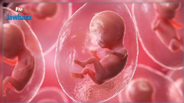 PMA : Des scientifiques chinois créent un utérus artificiel pour élever des fœtus humains