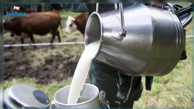 Agriculture : Les représentants de la filière laitière revendiquent une augmentation d'au moins 715 millimes/litre au profit des producteurs