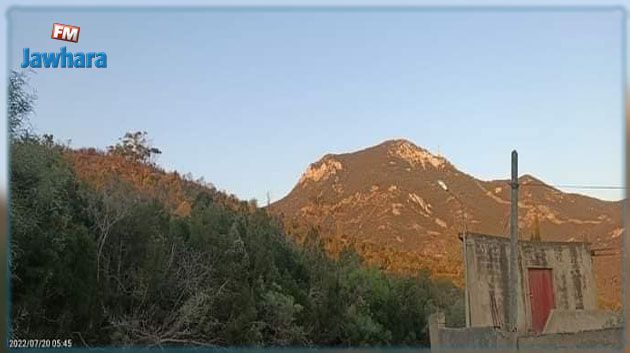 Ben Arous-Incendie Djebel Boukornine : Les pompiers ont réussi à encercler plusieurs foyers de feu