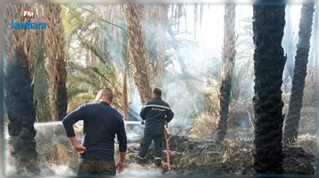 L'incendie dans l'ancienne oasis de Tozeur maîtrisé