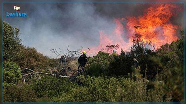 Incendies de Siliana : Un suspect interpellé