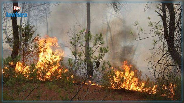 88 incendies enregistrés en Tunisie en deux mois