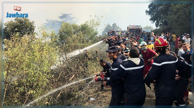 Algérie: les incendies 