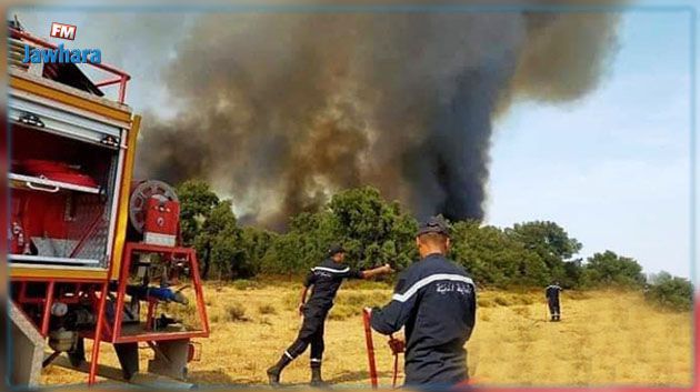 Siliana : L'incendie de Jbel Chehib maîtrisé