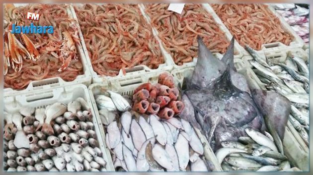Commerce extérieur : La balance commerciale des produits de la pêche, excédentaire de 195,3 MD à fin juillet 2022